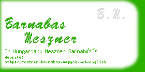 barnabas meszner business card